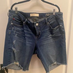 Slink distressed denim jean shorts curvy-16
